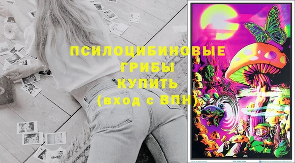 дживик Инта