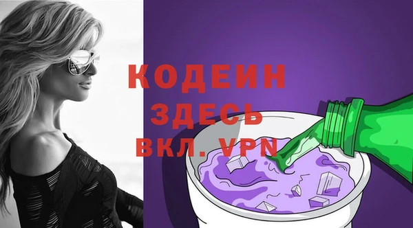 дживик Инта
