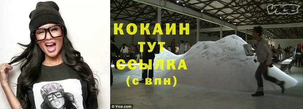 дживик Инта