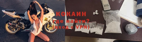 дживик Инта