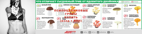 дживик Инта