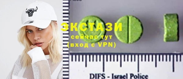 дживик Инта