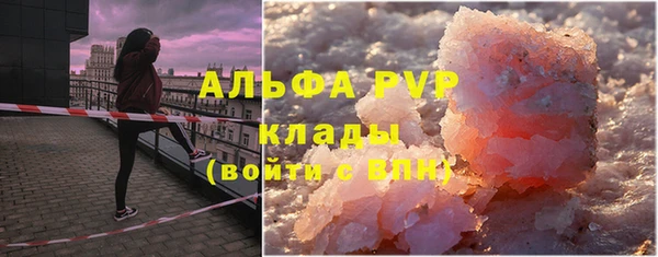 дживик Инта