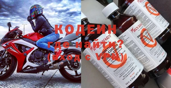 дживик Инта