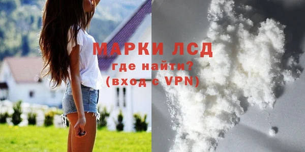 дживик Инта