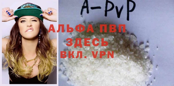 дживик Инта